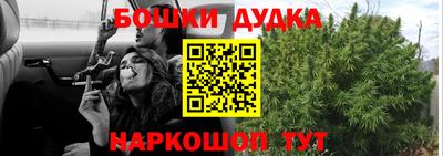 мдпв Славгород