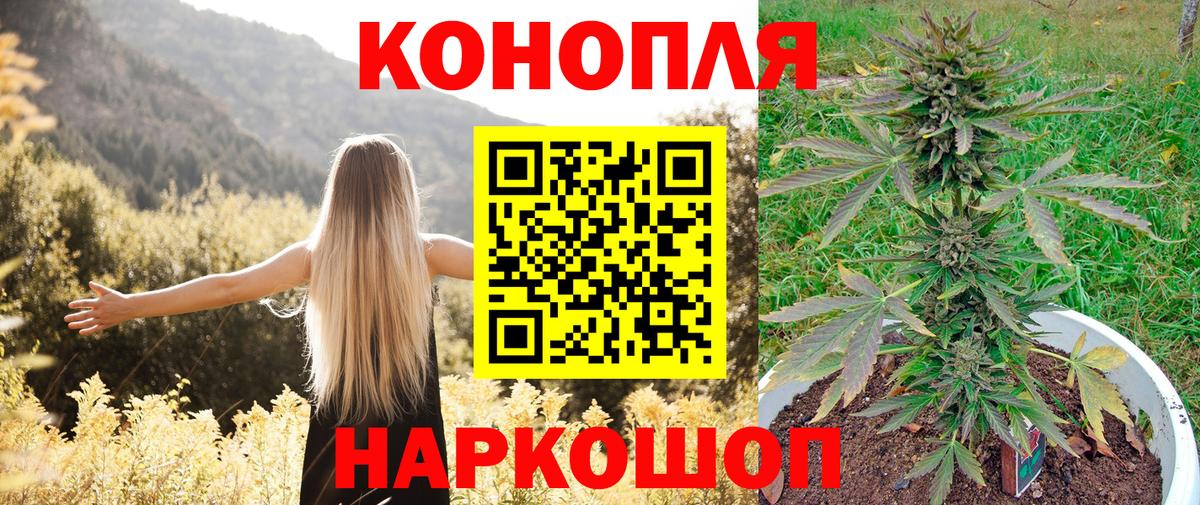 Бошки марихуана Ganja  Бошки Шишки MAZAR  Каннабис конопля  Новозыбков  Каннабис White Widow  Вход с VPN 