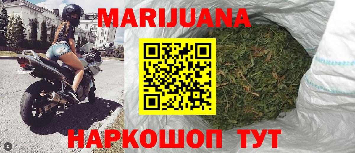 МЕФ Новозыбков